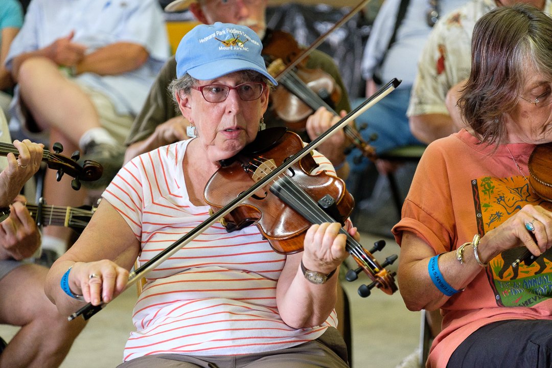 fiddle17065429.jpg