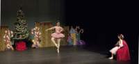 nutcracker204_small.jpg