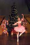 nutcracker5219_small.jpg