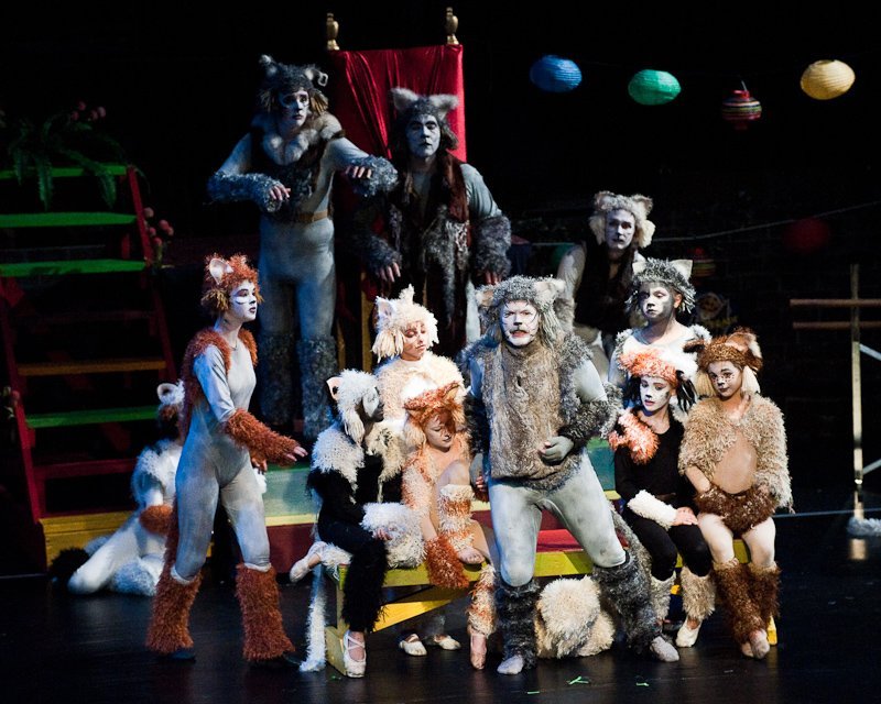 cats09178.jpg