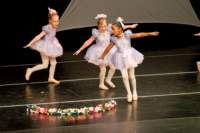 dance07170_small.jpg