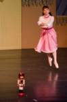 nutcracker11113087_small.jpg