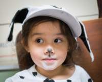 dalmatians13080691_small.jpg