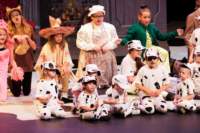 dalmatians13080753_small.jpg