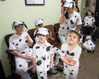 dalmatians13087961_small.jpg