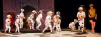 dalmatians130804885_small.jpg