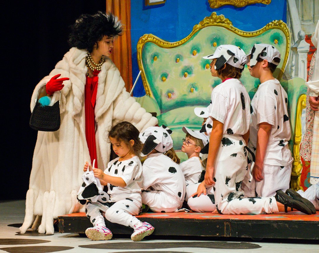 dalmatians130805001.jpg