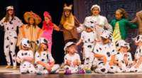 dalmatians13087889_small.jpg