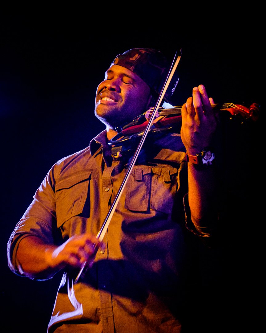 blackviolin16043390.jpg