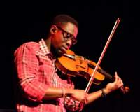 blackviolin16044039_small.jpg