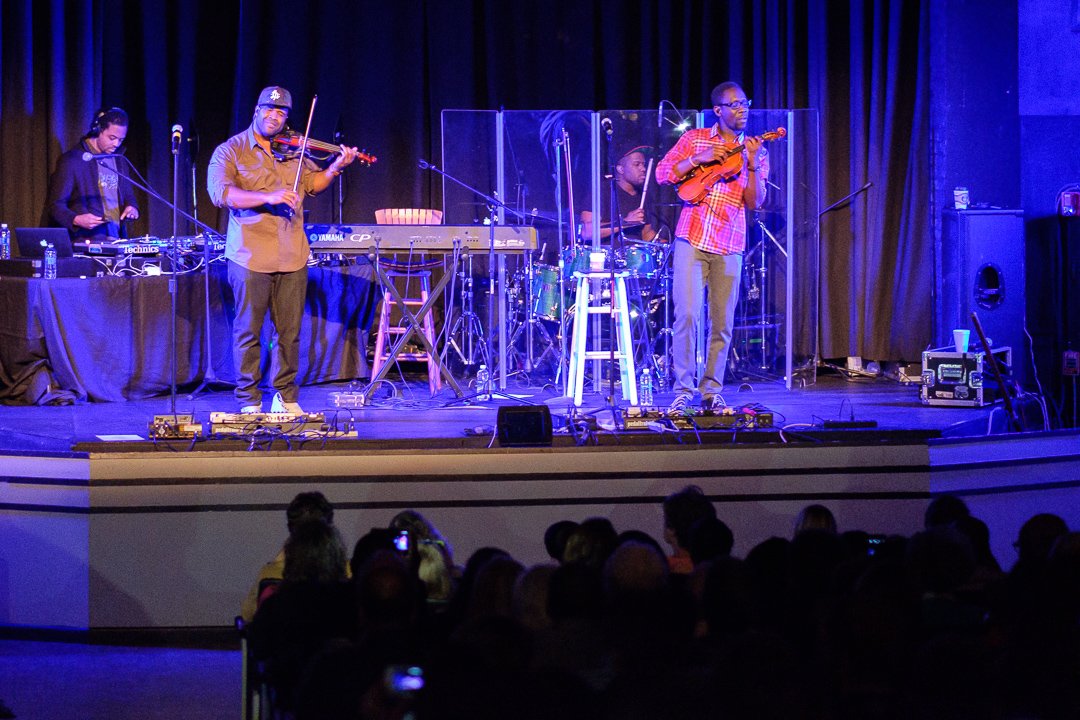 blackviolin16044211.jpg