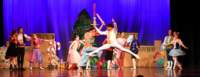 nutcracker_9057_01_small.jpg