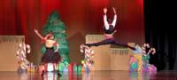 nutcracker_9081_01_small.jpg