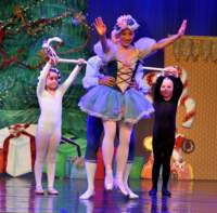 nutcracker_9138_01_small.jpg