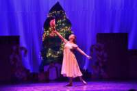 nutcracker_9199_01_small.jpg