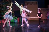 nutcracker241260_small.jpg