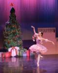 nutcracker241264_small.jpg