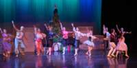 nutcracker241266_small.jpg