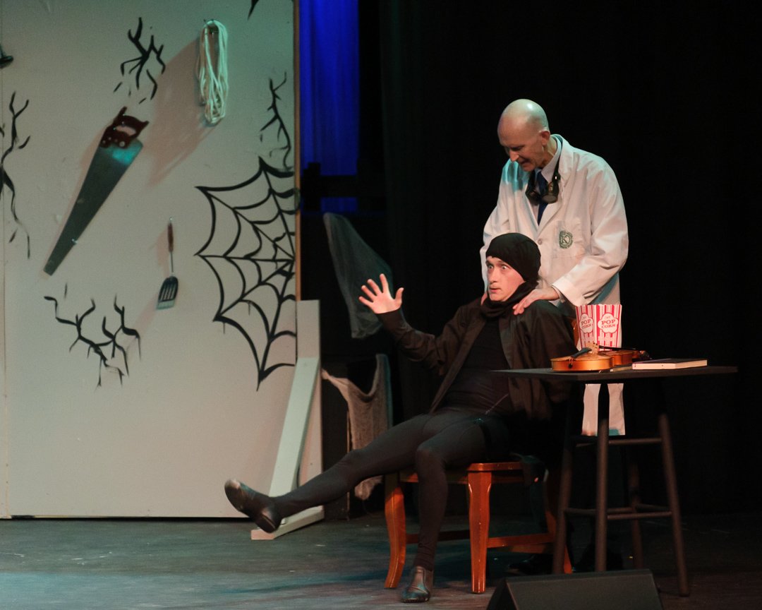 youngfrankenstein241055.jpg