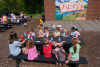 artsalive25060238_small.jpg