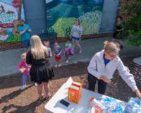 artsalive25060239_small.jpg