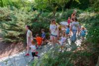 artsalive25060242_small.jpg
