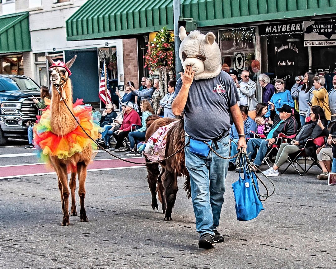 parade22090940.jpg