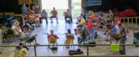 fiddlersconventionworkshops2506102_small.jpg