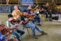 fiddlersconventionworkshops250660_small.jpg